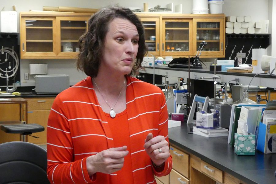 Carolyn Ross, WSU food science professor, explains the two methods they discovered to wean humans off from the amount of salt consumed Monday afternoon.