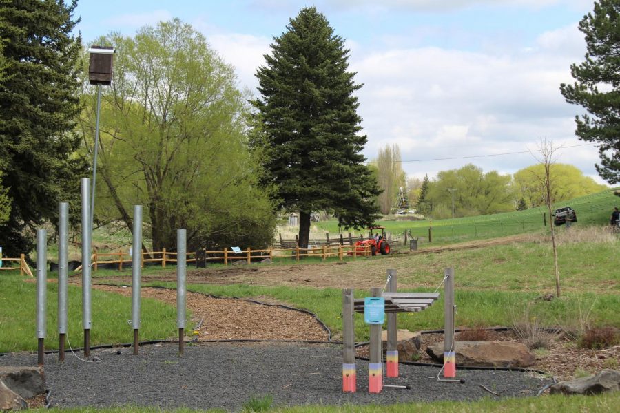 Pullman plans to make some parks more accessible