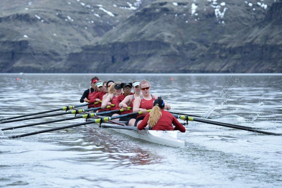 WSU’s third varsity eight competes in a regatta against four other teams March 24 on the Snake River.