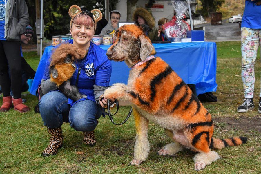 Nine-month-old Juster, left, is dressed as a baby lion and Alphosonse, right, as a tiger on Saturday at Reaney Park.