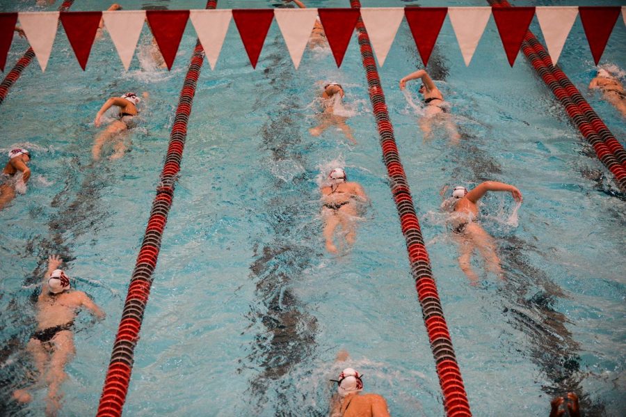 The swim team warm up with sprints before the relay meet against UI, UN, and SDSU Friday night at Gibb Pool.
