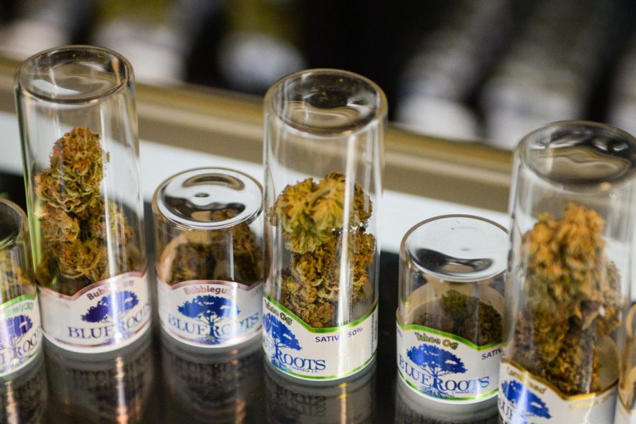 Displayed selection of different cannabis strains, 2019. 