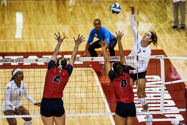 Freshman outside hitter Pia Timmer spikes the ball against the Liberty University on Saturday in Bohler Gym. 