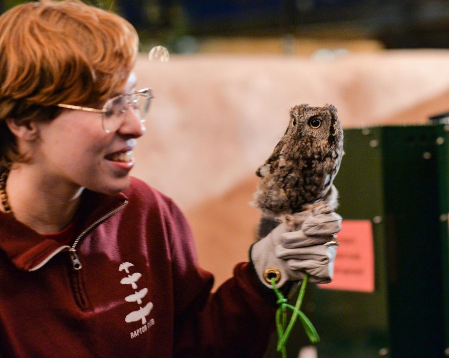 Katherine Wishon, public relations officer of the Raptor Club, holds Kotori, the Western Screech Owl during the Animals of the Night event on Friday at the Palouse-Clearwater Environmental Institute Nature Center in Moscow.