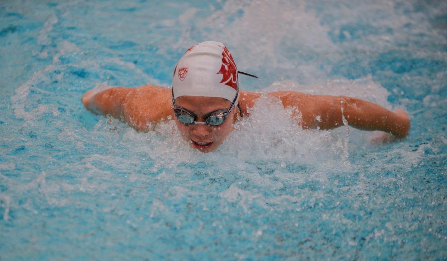 Junior+Mackenzie+Duarte+swims+the+butterfly+portion+of+the+first+heat+of+the+400-meter+medley+relay+on+Sept.+29+at+Gibb+Pool.+Cougars+host+Idaho+on+Friday.