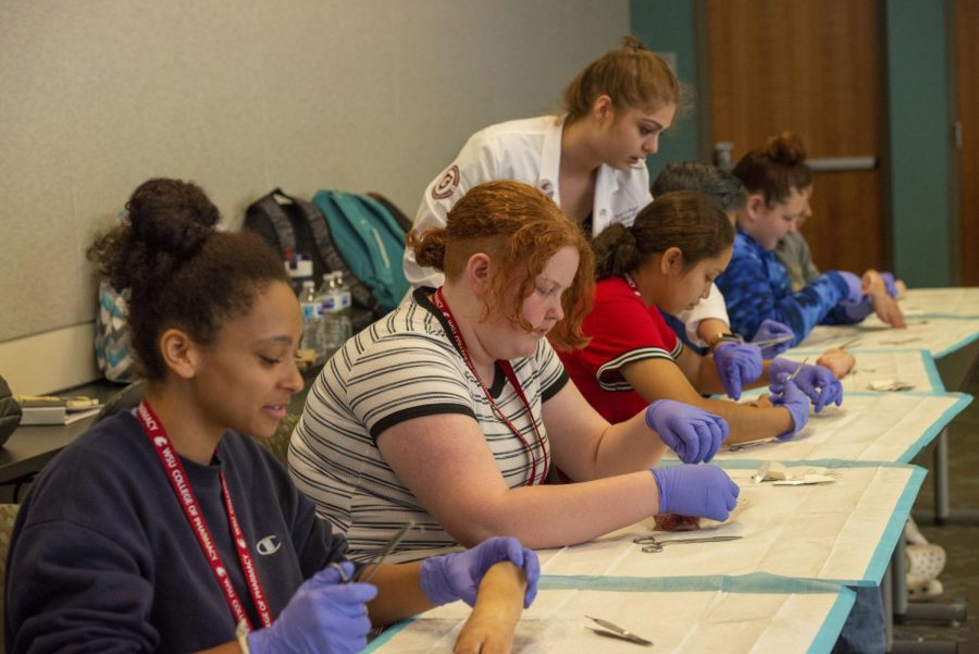 WSUs Na-ha-shnee Summer Institute is a free program for ninth to eleventh graders who are Native Americans and Alaskan Native. The program includes CPR training and basic nursing skills.