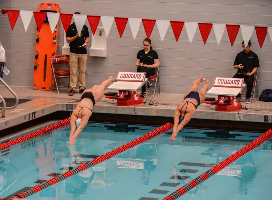 Then-freshman+Kate+Lauderoute%2C+dives+into+the+200+meter+individual+medley+against+Nevada+on+Sep.+28+at+Gibb+Pool.