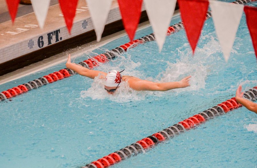 Then-freshman+Kate+Lauderoute%2C+dives+into+the+200+meter+individual+medley+on+Sep.+28+at+Gibb+Pool.