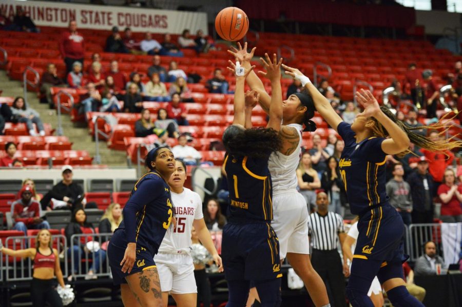Senior Guard Chanelle Molina rises over multiple Cal defenders for a lay up on Jan. 31, at Beasley Colesium.