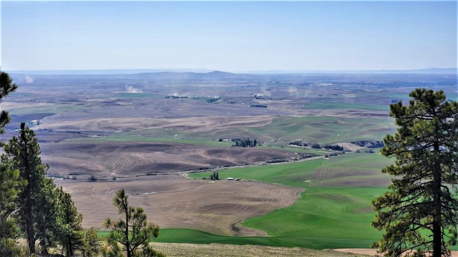 Kamiak Butte County Park is one of Whitman Countys several parks, which offers hiking, camping and other recreational activities.
