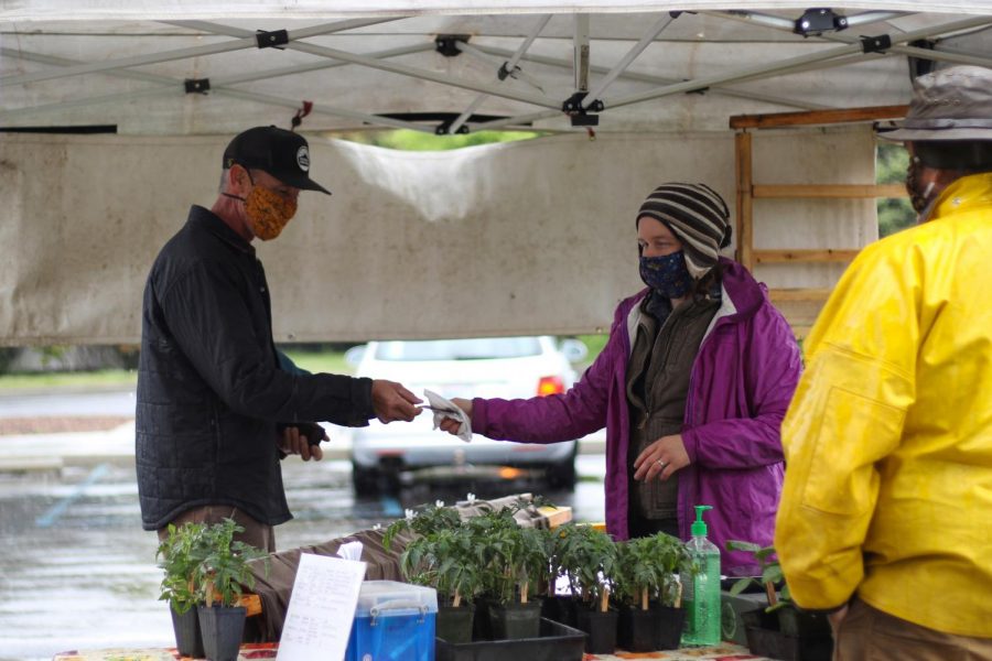 Omache Farm co-owner Margaret Parsley, right, takes payment for Pullman resident Scott McBeths plants on May 20 at the Pullman Farmers Market. McBeth purchased Pink Berkeley Tie-Dye tomatoes. 