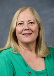 Theresa Elliot-Cheslek, WSU vice president and chief human resource officer, has served in the university's human resources department since 1999.