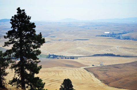 The Palouse area has a variety of trails and destinations ranging from Kamiak Butte to Moscow Mountain.