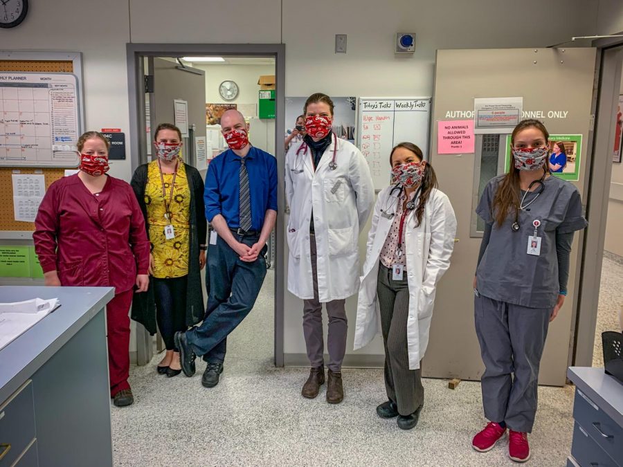 When students came back to the WSU Veterinary Teaching Hospital in June, the hospital sent out a request for more masks. Several people answered the call, including the owners of animals who were operated on at VTH.