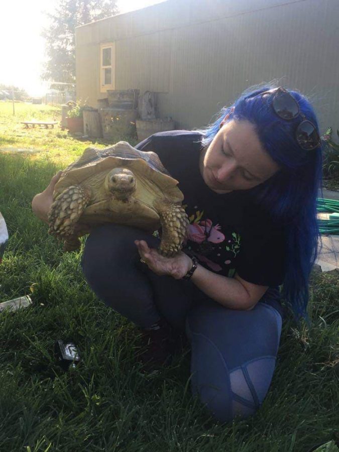 Kyley Ackerson, aquatic pet specialist for Petco, holds Terri the tortoise. Terris shell was injured after getting run over, and she is still recovering. 