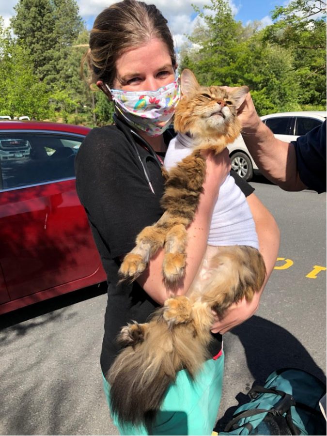 Hilary Wright, neurology resident, holds HoneyBee at a parking lot on June 8 as Brian Mansfield pets her head. HoneyBee was heading to the hotel with her owners for an afternoon visit.