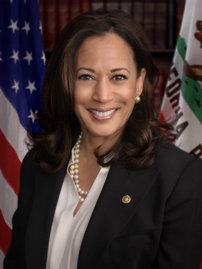 Kamala Harris represented Biden tonight, bringing some more vigor to a candidacy that had been lacking in energy. 