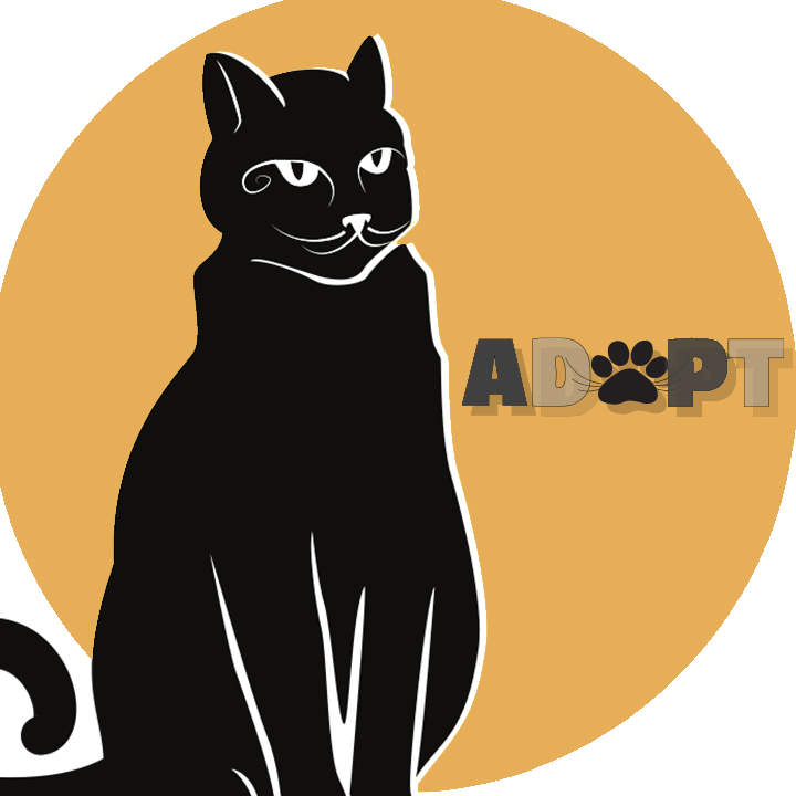 Adopt+more+black+cats+because+theyre+just+as+sweet+and+cuddly+as+other+cats.+