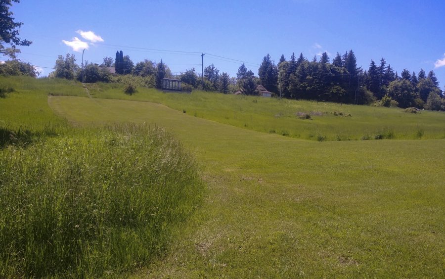The Berman Creekside Park was the first property easement that the Palouse Land Trust worked on with the help of long-time resident Katrina Berman. She has since passed away, but the residents of Moscow can continue to enjoy the park.