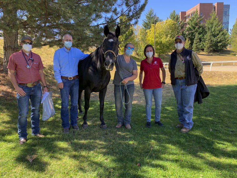 Sugar stands with her owner and the people who helped her after she got severe colic. The horse was lying down in a trailer and had to be brought into the veterinary hospital on a sled.