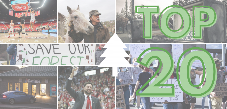 The Daily Evergreens top 20 stories of 2020