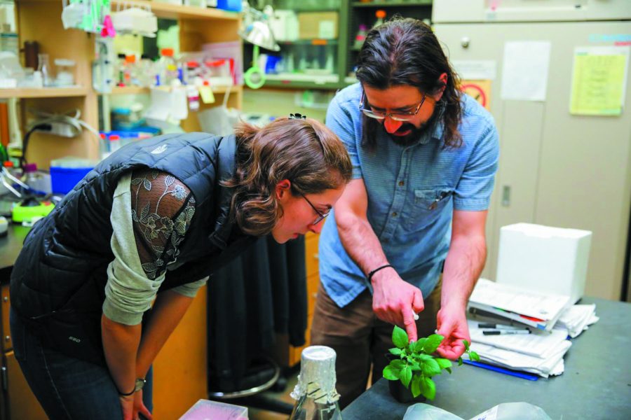 Evergreen editor-in-chief Emma Ledbetter started her science writing career with an article about drought resistance in plants when she was Mint editor.