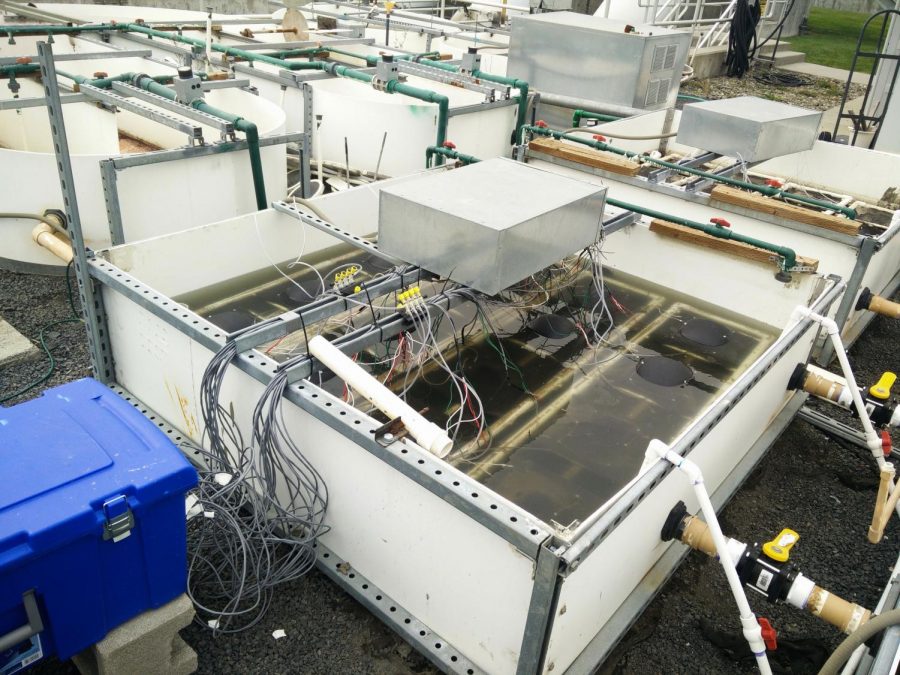 Typically, wastewater treatment uses aeration so bacteria can consume the organic materials found in wastewater, but the new process uses carbon.