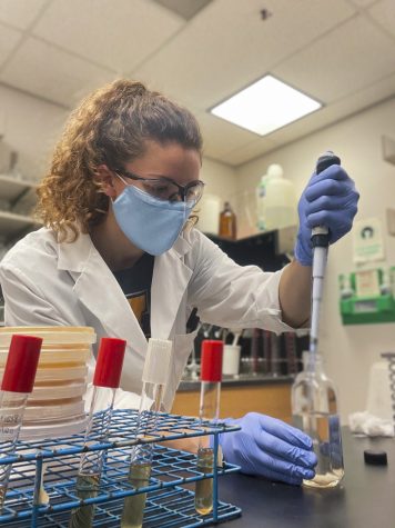 Food science graduate student Heather Carbon collects a fermented sample of synthetic grape juice made from wild yeasts.