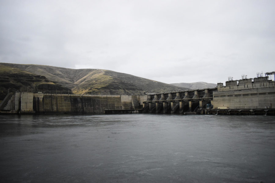 Removing the dams could restore as many as a million Chinook salmon. It will enable tribal fishing to meet their treaty rights and restore commercial fishing. 