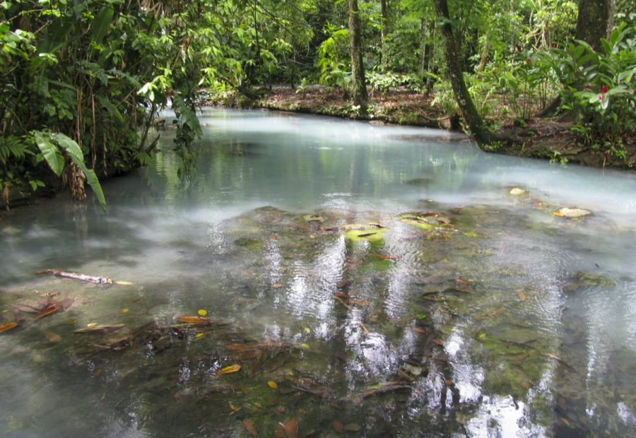 Researchers studied multiple springs in Teapa, Mexico, with different levels of hydrogen sulfide and saw the stages of the fish adapting to the ecosystems.