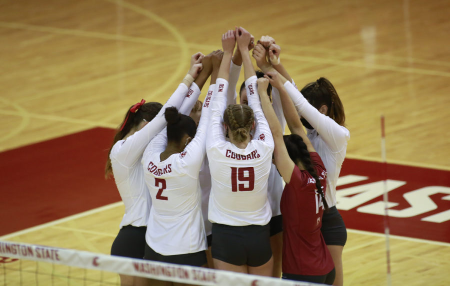 The+Cougar+volleyball+team+huddles+up+one+last+time+before+the+start+of+the+first+set+in+the+matchup+against+Cal+Feb.+26+in+Bohler+Gym.