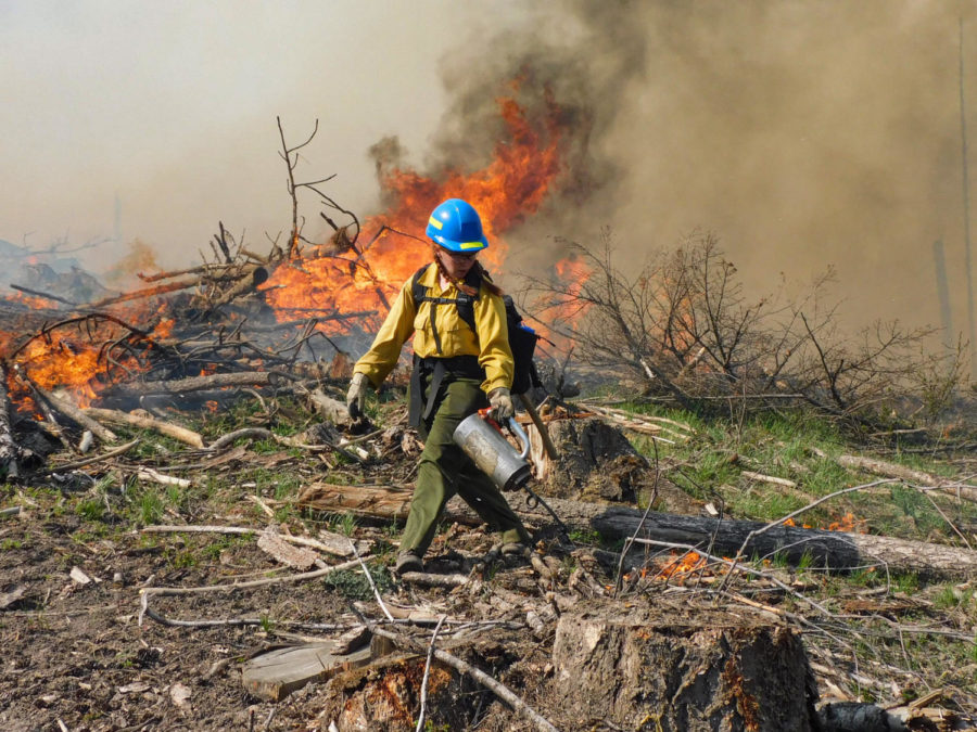 By passing the new wildland fire ecology and management course, students can receive the Red Card Certification from the National Wildlife Coordinating Group.