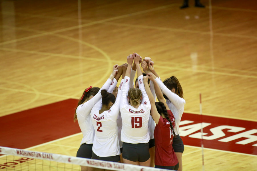 The+Cougar+volleyball+team+huddles+up+one+last+time+before+the+start+of+the+first+set+in+the+matchup+against+Cal+Feb.+26+in+Bohler+Gym.