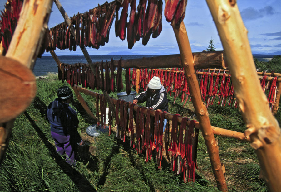 Traditional salmon drying racks are shown in the Native Village of Kokhanok on Lake Iliamna, Bristol Bay, Alaska. Salmon was important to Native Americans’ diets.