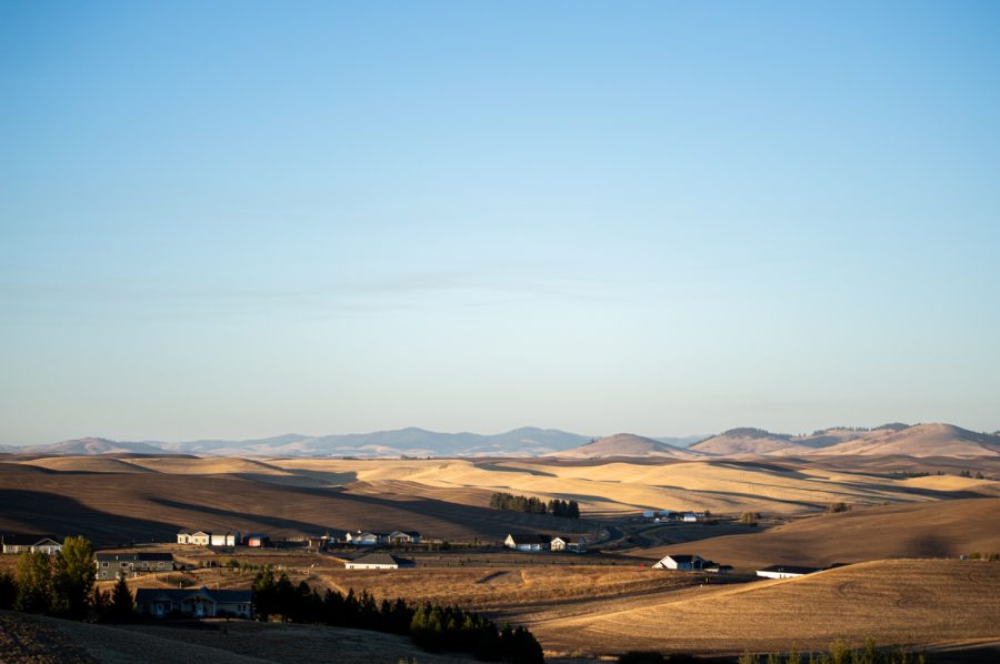 Wheat fields on the Palouse as seen from hiking trails near the Retreat in 2021, Pullman, Wash. 