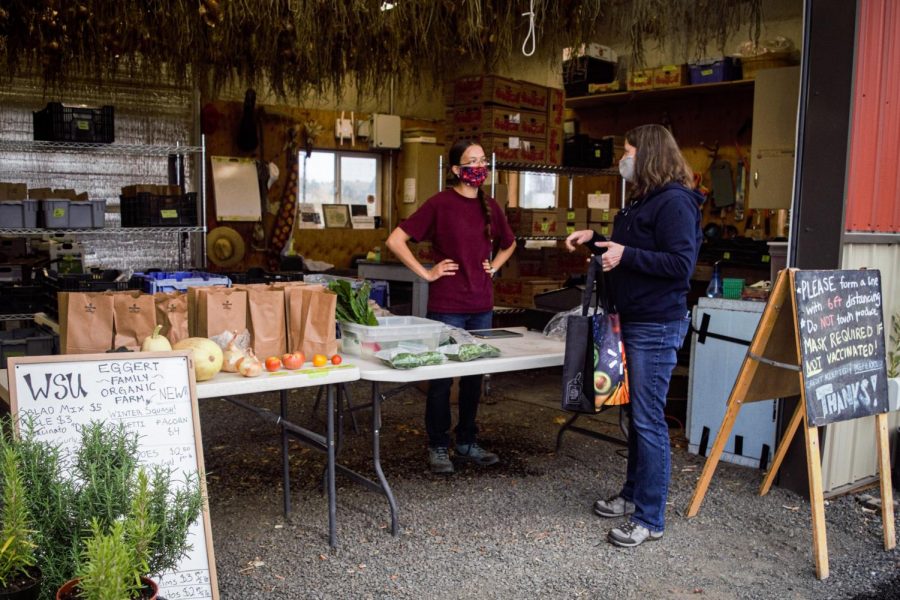 Sarah Nehring, left, speaks with long-time customer Bonny Boyan, right, at the WSU Eggert Organic Family Farm Friday afternoon. The farm sells fresh produce harvested with help from WSU students. 