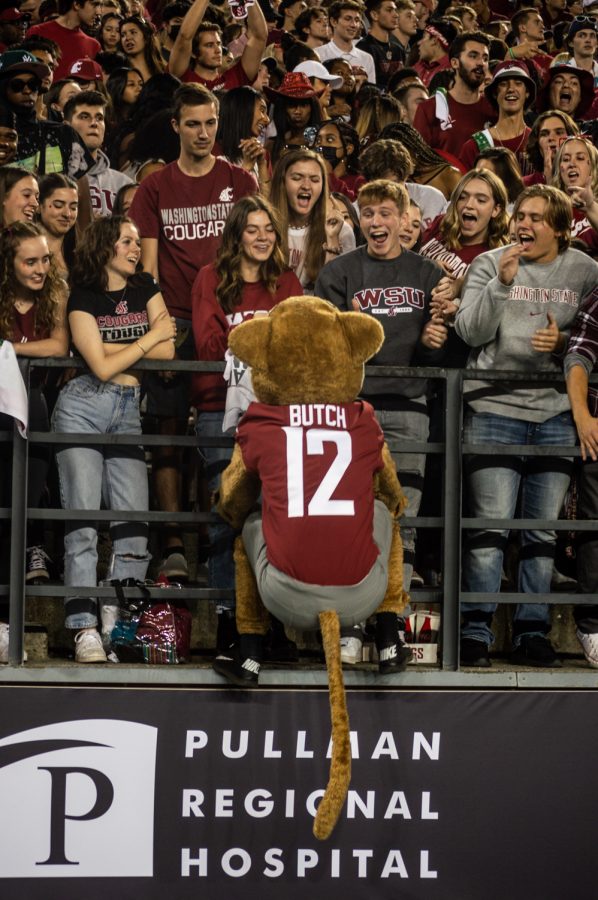 Butch T. Cougar interacts with fans at Martin Stadium in Pullman, Wash., Saturday, Sept. 4, 2021.