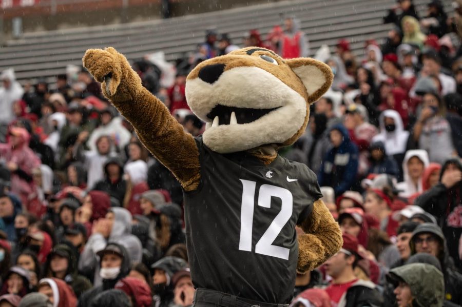 Butch T. Cougar gives a thumbs down during a college football game Sept. 18, 2021, in Pullman.