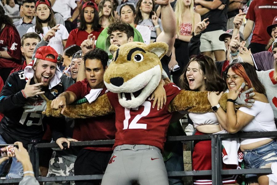 Butch T. Cougar interacts with some fans at Martin Stadium Sept. 4 in Pullman.