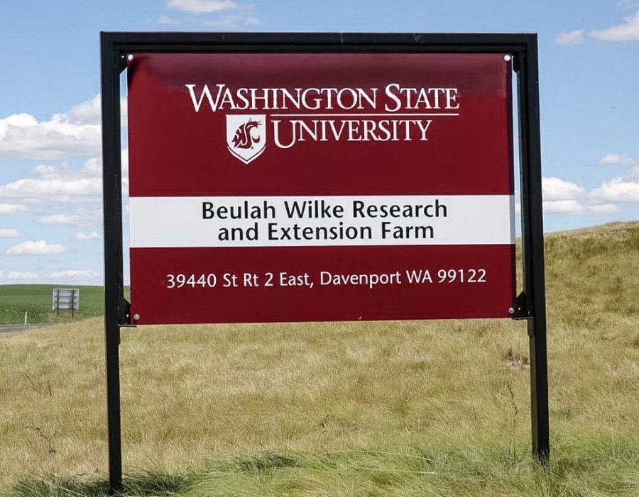 The WSU Wilke Research and Extension Farm is located in Davenport, Washington. 