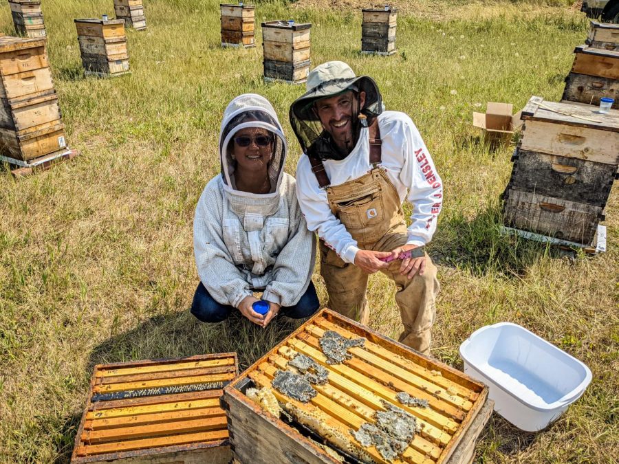 WSU+Bee+Program+Researcher+Jennifer+Han%2C+left%2C+and+graduate+student+Adam+Ware%2C+right%2C+check+honey+bee+hives+treated+with+fungus+for+mite+populations+in+collaboration+with+a+company+called+Fungi+Perfecti.