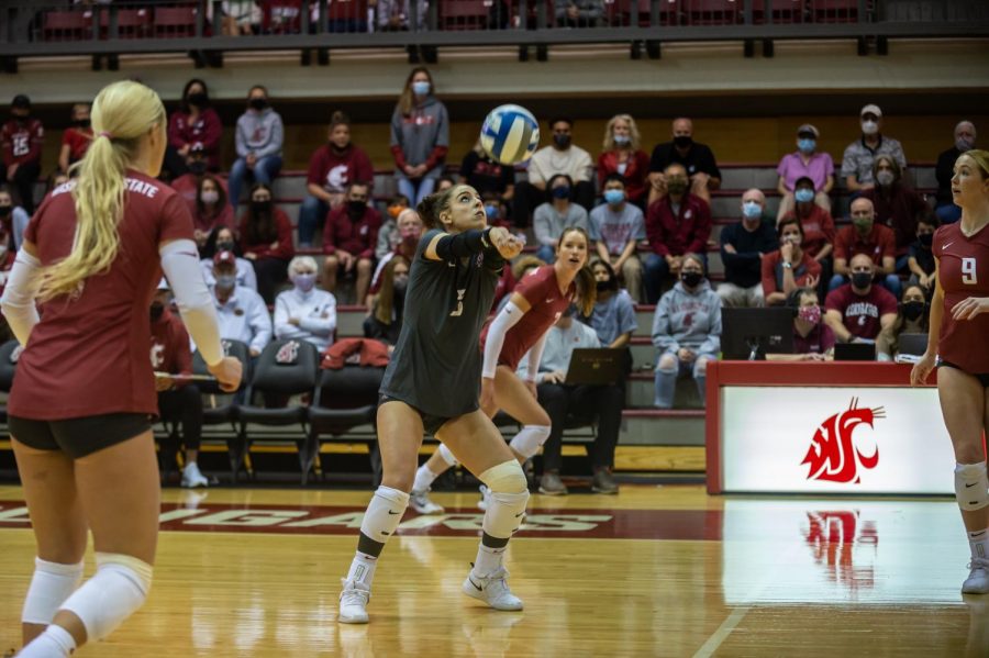 WSU libero Karly Basham (3) sets the ball during a college volleyball match against UCLA on Oct. 3 in Pullman.