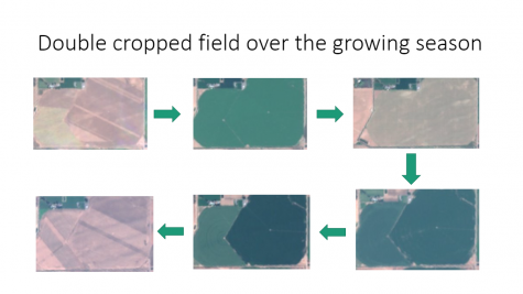 Photo shows satellite images of a double cropped field over time.