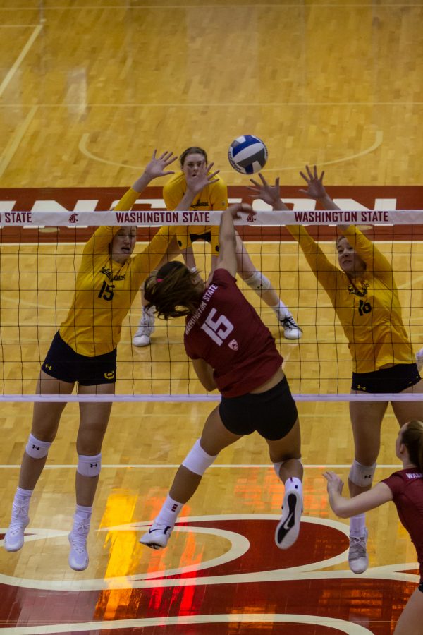 WSU middle blocker Magda Jehlarova (15) spikes the ball during a college volleyball match against California on Oct. 24, 2021, in Pullman.
