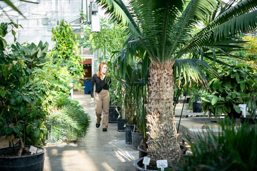 Student Alissa Carreno admires plants on the 7th floor of Ableson Hall on Tuesday in Pullman.