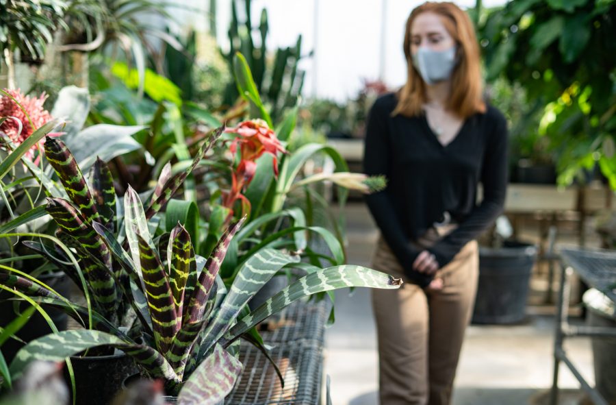 Student Alissa Carreno admires plants on the 7th floor of Ableson Hall on Tuesday in Pullman.