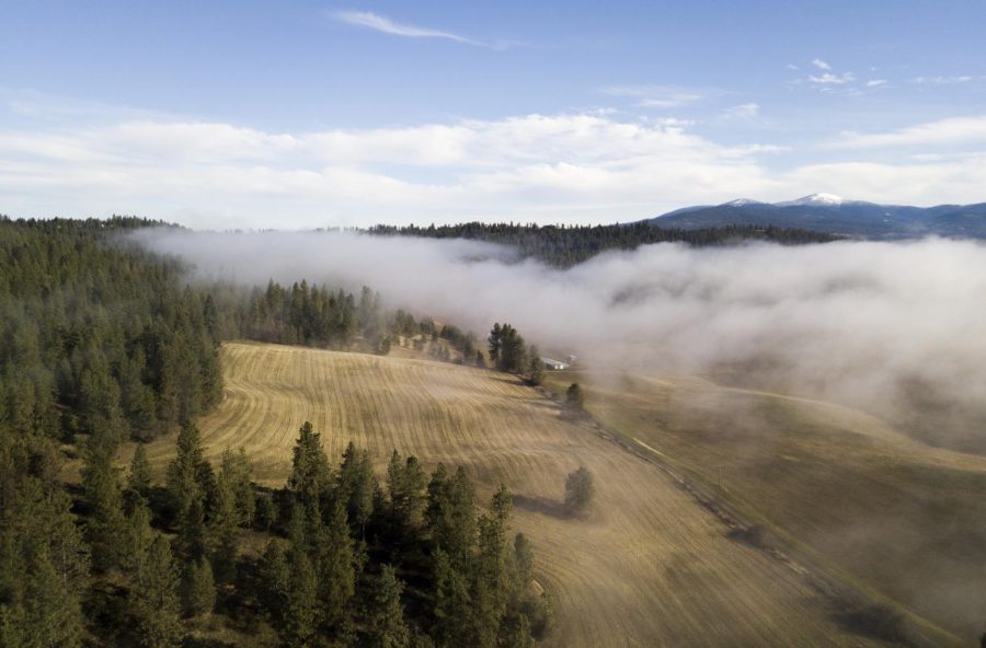 Foggy conditions are expected across the Palouse until Friday.