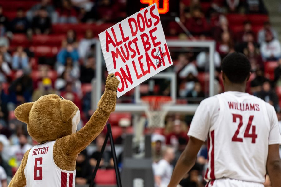 Butch T. Cougar shows his sign off to the crowd during the second half of an NCAA college basketball game against UW in Beasley Coliseum, Feb. 23.