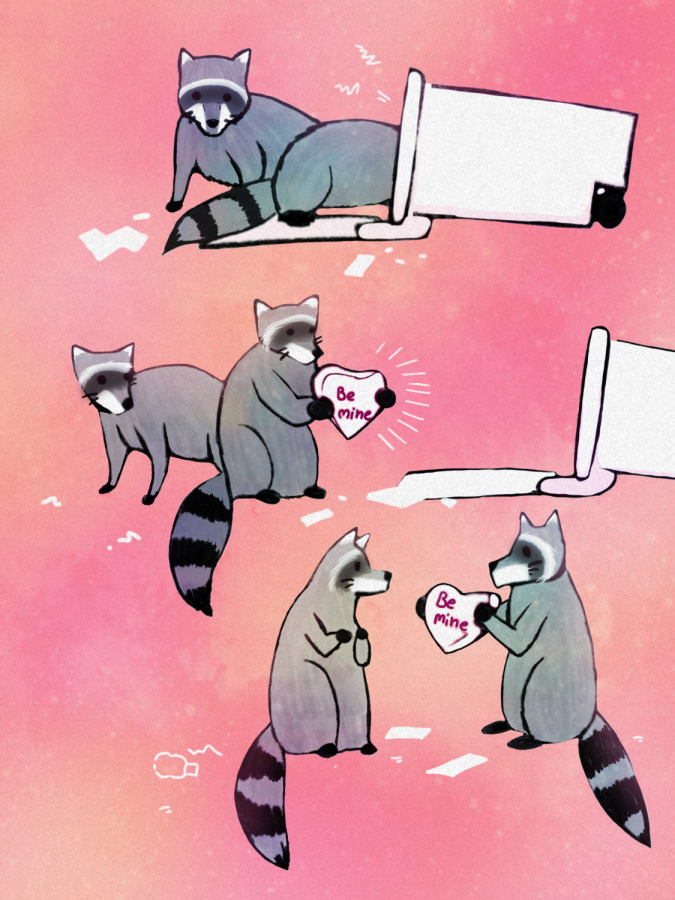 What if ... we were two raccoons ... who loved each other?