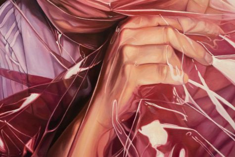 Sarah Barnett’s paintings, including “Protection,” featured here, are often close-ups on large canvases. Her appreciation for the details in other’s paintings leads her to painting these close-ups so viewers can enjoy her details without having to search for them. 